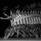 Illustration for article titled Chronophotography: The Photos That Revealed The Secrets Of Motion